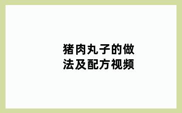 猪肉丸子的做法及配方视频