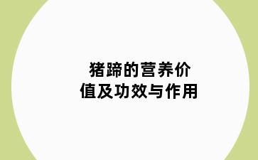 猪蹄的营养价值及功效与作用