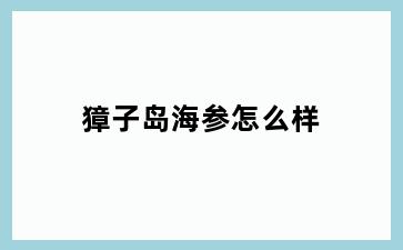 獐子岛海参怎么样
