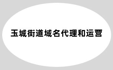 玉城街道域名代理和运营
