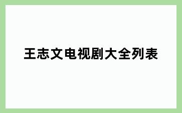 王志文电视剧大全列表