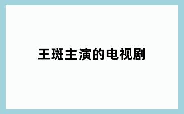 王斑主演的电视剧