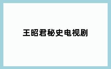 王昭君秘史电视剧