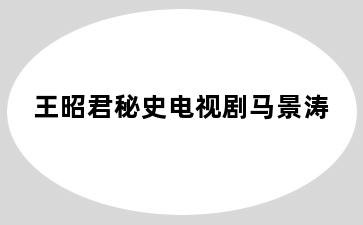 王昭君秘史电视剧马景涛