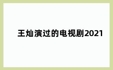 王灿演过的电视剧2021