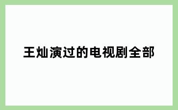 王灿演过的电视剧全部