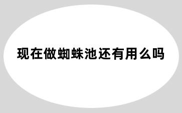 现在做蜘蛛池还有用么吗