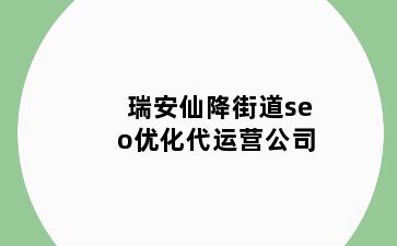 瑞安仙降街道seo优化代运营公司