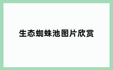 生态蜘蛛池图片欣赏