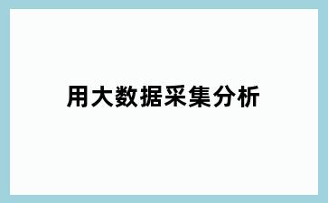 用大数据采集分析