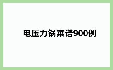 电压力锅菜谱900例