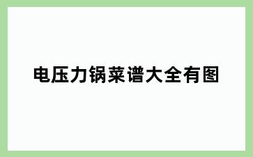 电压力锅菜谱大全有图