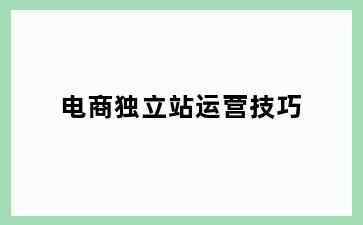 电商独立站运营技巧