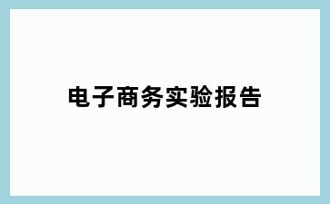 电子商务实验报告