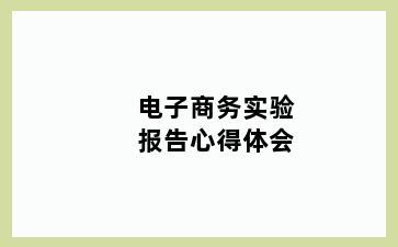 电子商务实验报告心得体会