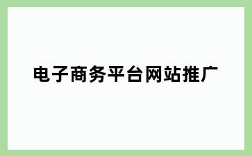 电子商务平台网站推广