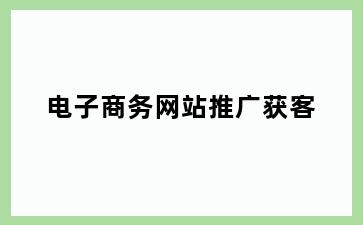 电子商务网站推广获客