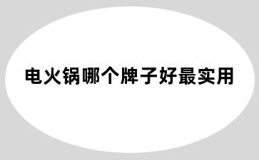 电火锅哪个牌子好最实用