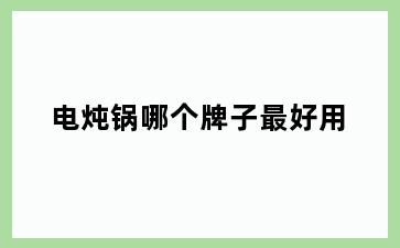 电炖锅哪个牌子最好用