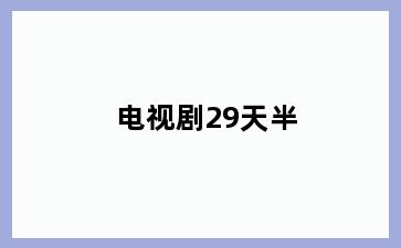电视剧29天半