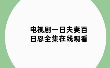 电视剧一日夫妻百日恩全集在线观看