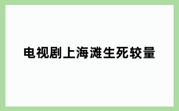 电视剧上海滩生死较量