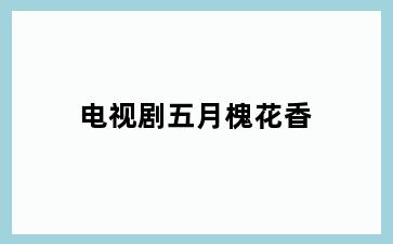 电视剧五月槐花香