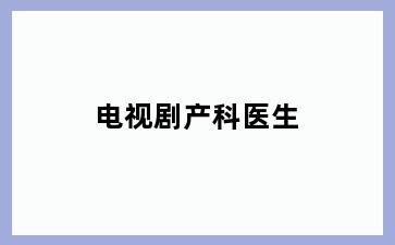 电视剧产科医生