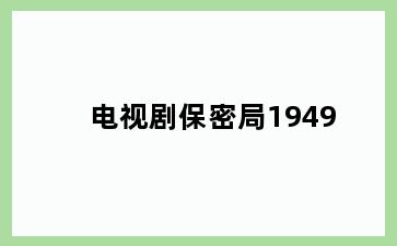 电视剧保密局1949