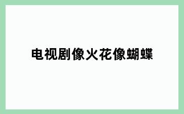 电视剧像火花像蝴蝶