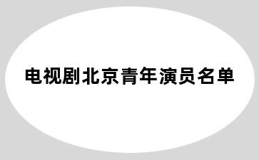 电视剧北京青年演员名单