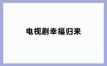 电视剧幸福归来