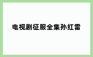 电视剧征服全集孙红雷