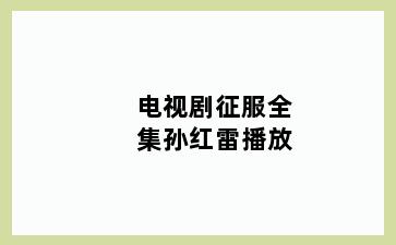 电视剧征服全集孙红雷播放