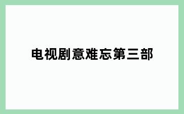 电视剧意难忘第三部