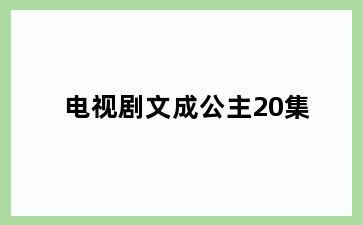 电视剧文成公主20集
