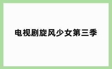 电视剧旋风少女第三季