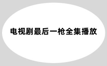 电视剧最后一枪全集播放