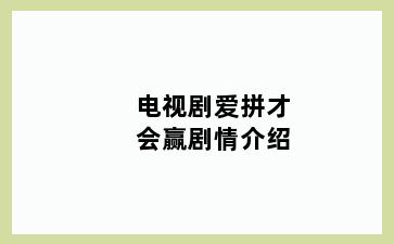 电视剧爱拼才会赢剧情介绍