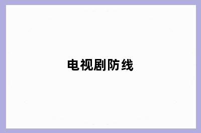 电视剧防线