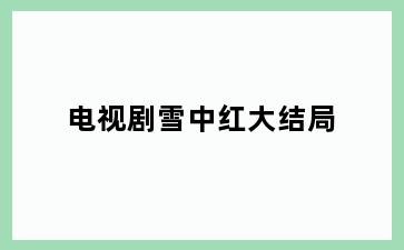 电视剧雪中红大结局