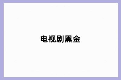 电视剧黑金