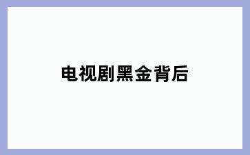 电视剧黑金背后