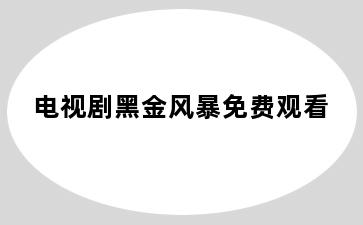 电视剧黑金风暴免费观看
