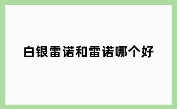 白银雷诺和雷诺哪个好