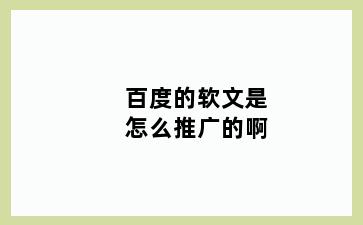 百度的软文是怎么推广的啊