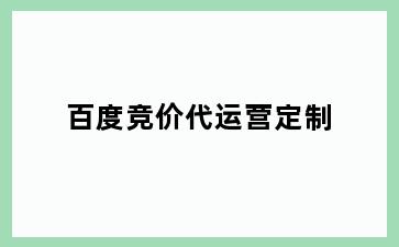 百度竞价代运营定制