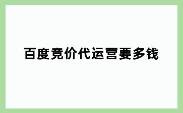 百度竞价代运营要多钱
