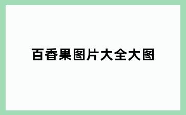 百香果图片大全大图