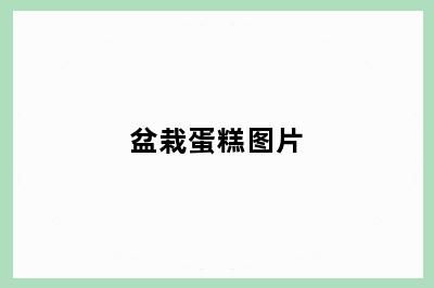 盆栽蛋糕图片